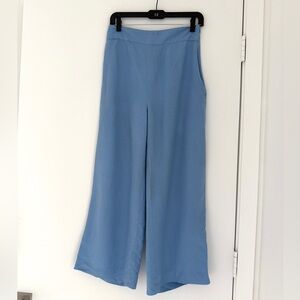 Zara Light Blue Wide-Leg Pants size large
